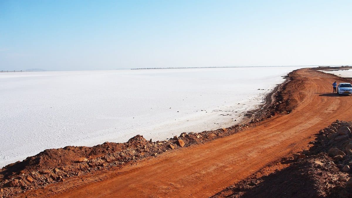 An earthen road running alongside the white salt flats of the Rann of Kutch, with a car stopped at the roadside