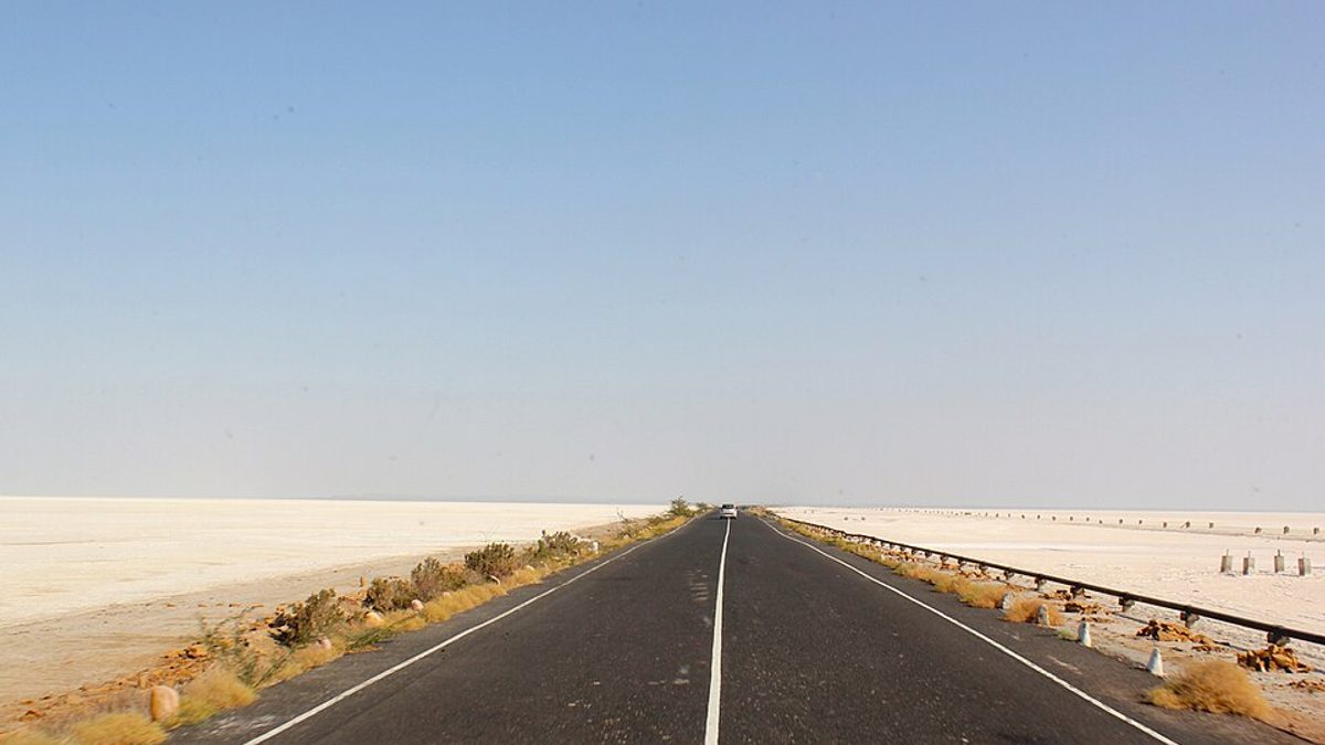 Road Trips