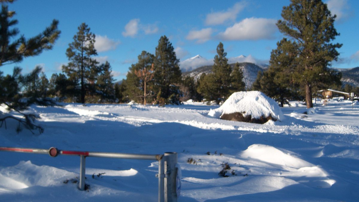 Snow-covered ground and a buried boulder at Buffalo Park in Flagstaff, with the San Francisco Peaks visible in the distance