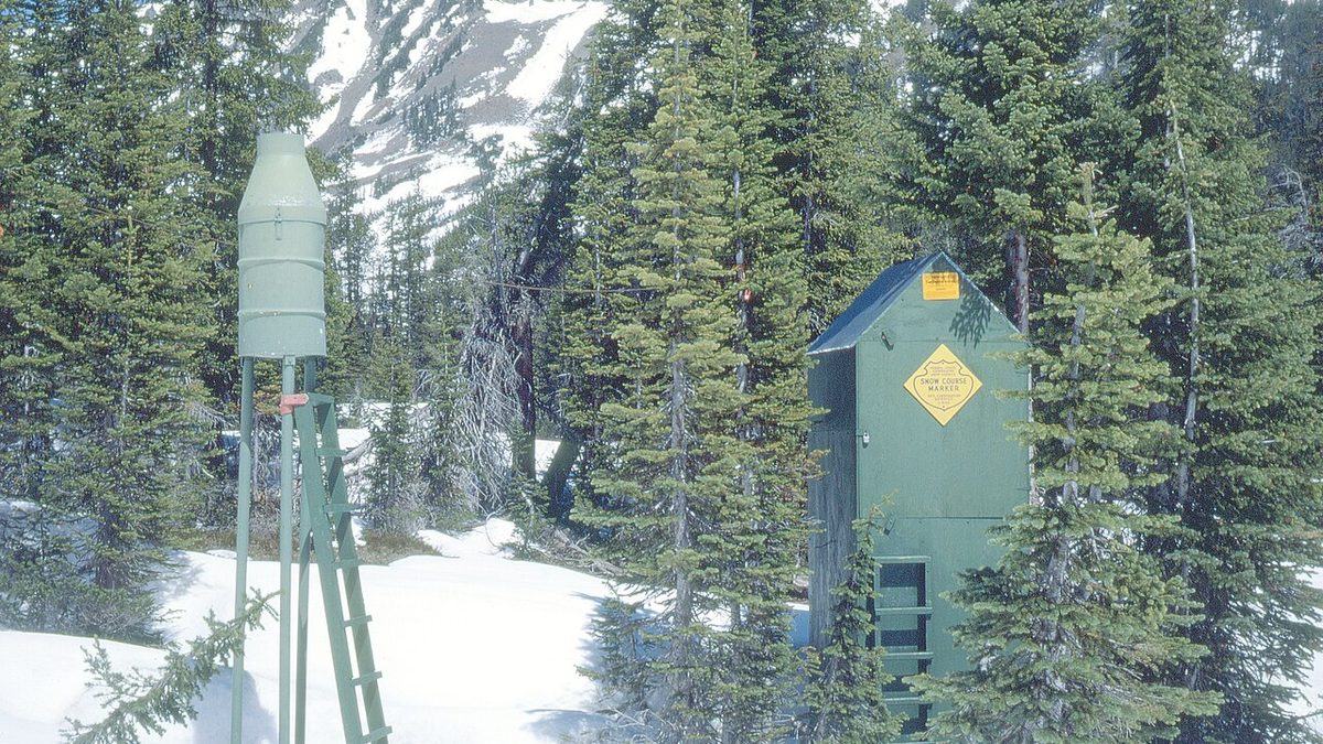 A green snow course marker station in a snow-covered forest below a mountain peak, the type of manual snow-measurement site SNOTEL data comes from