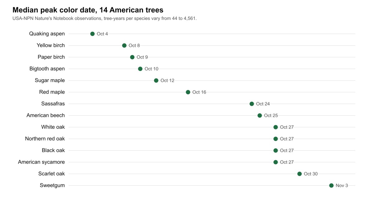 Dot plot showing median peak color dates for 14 American trees, from quaking aspen on 4 October to sweetgum on 3 November