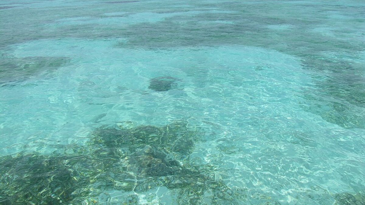 Clear turquoise shallow lagoon water over coral at Kalpeni island in Lakshadweep, one of the islands the Samudram cruise visits