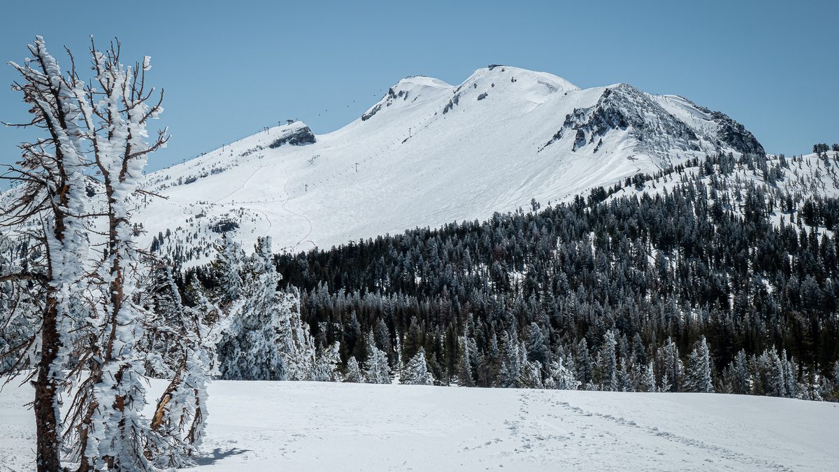 Mammoth Mountain and rime-encrusted trees at Minaret Vista, California