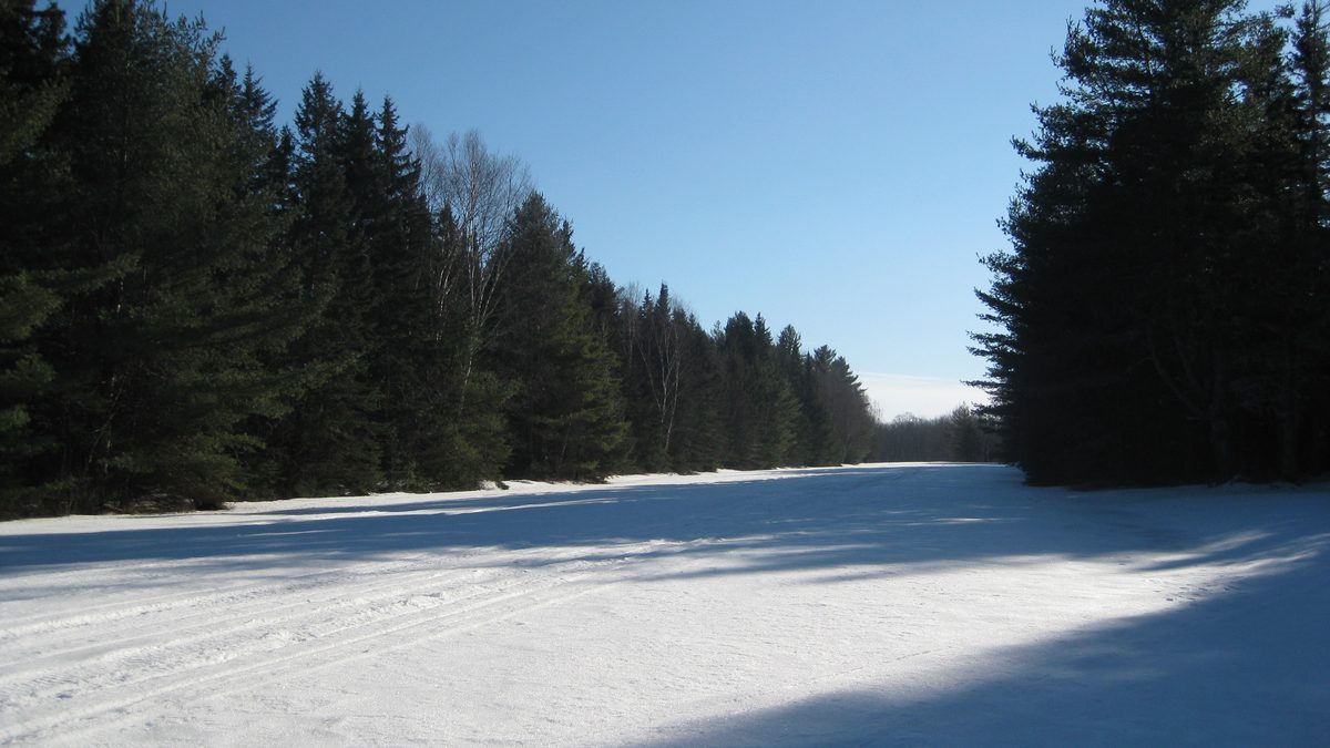 A snow-covered rural road running between bare trees