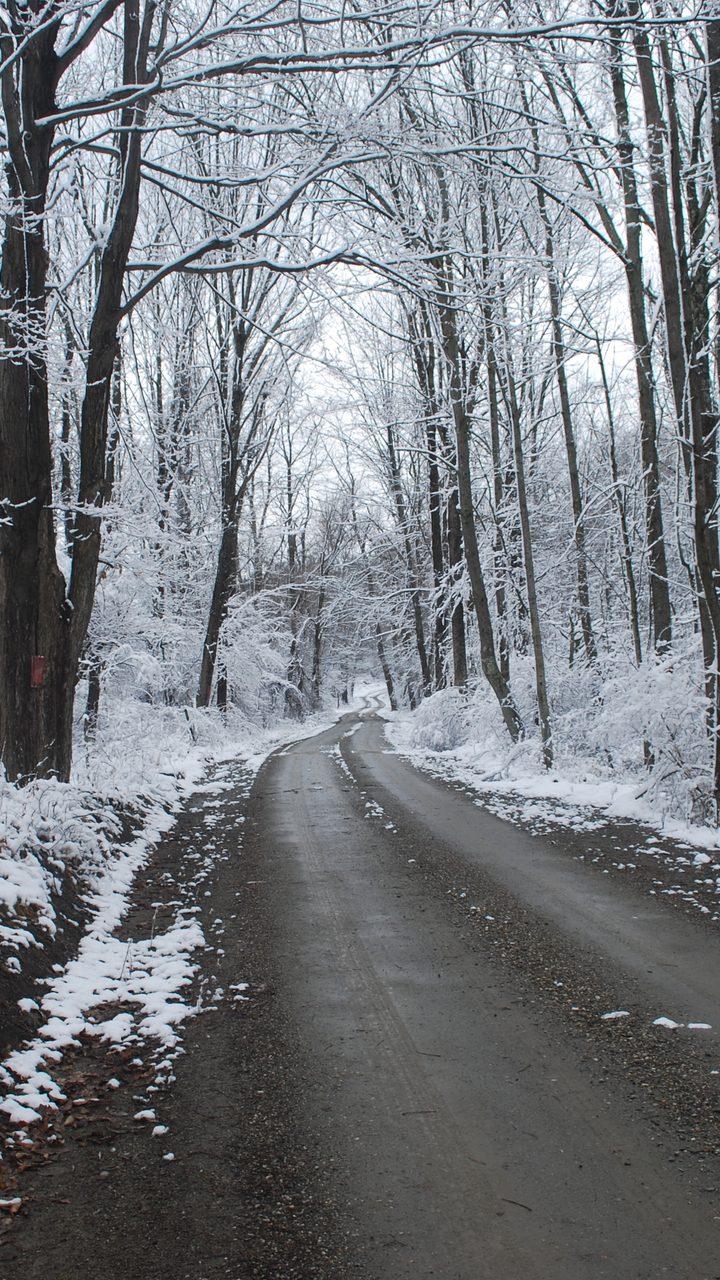 Alabama Snow: Mobile's 130-Year Record