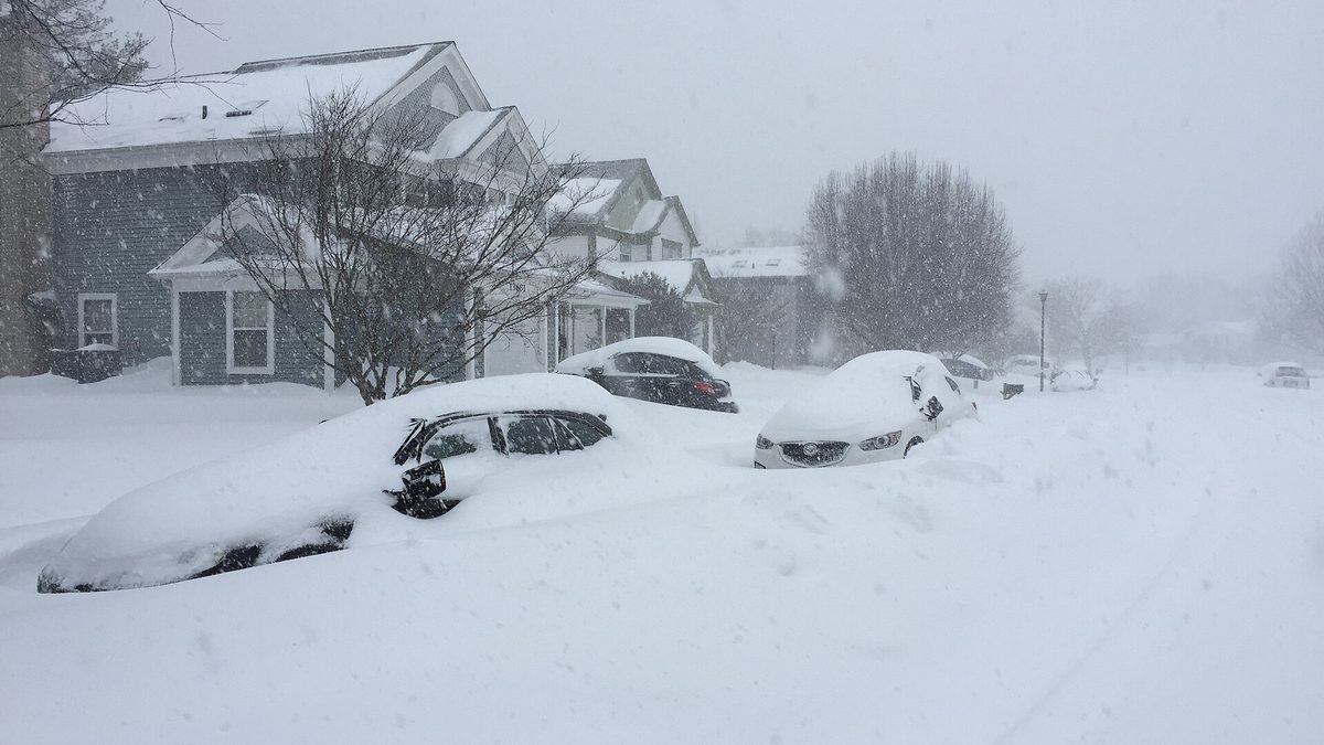 A residential street left unplowed after a snowstorm, with tyre ruts cut through the snow and cars buried at the kerb