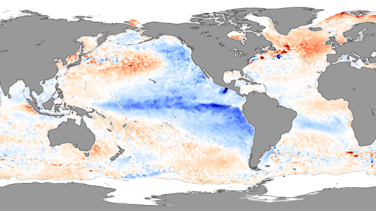 NASA satellite map of November 2007 sea surface temperature anomalies showing a cool La Nina band along the equatorial Pacific