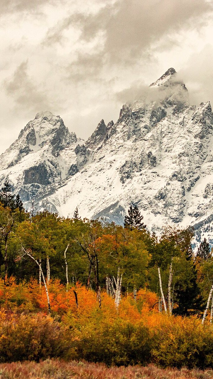 When Will It First Snow This Year?