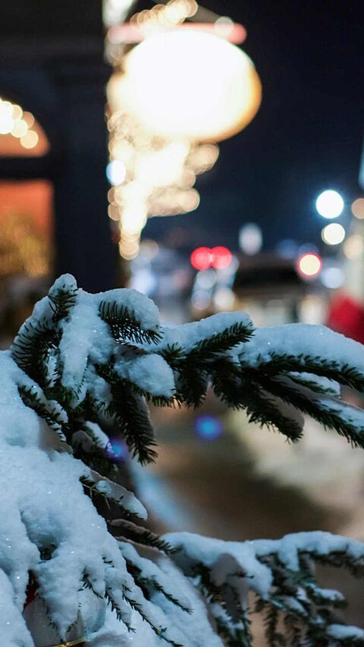 White Christmas Odds 2026: Chances by City and State