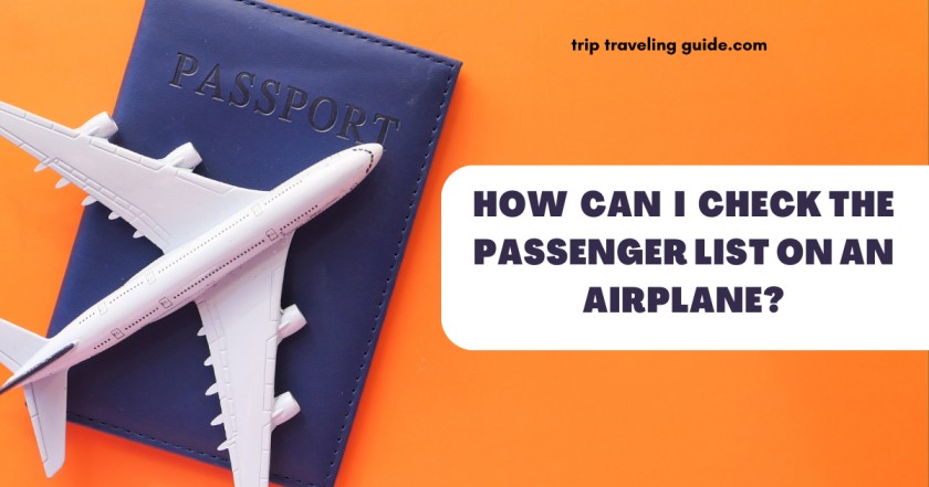 How Can I Check The Passenger List On an Airplane?