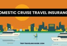 Domestic Cruise Travel Insurance : A Compleate Guide 2023