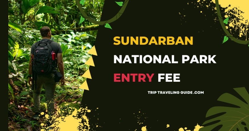 Sundarban National Park Entry Fee