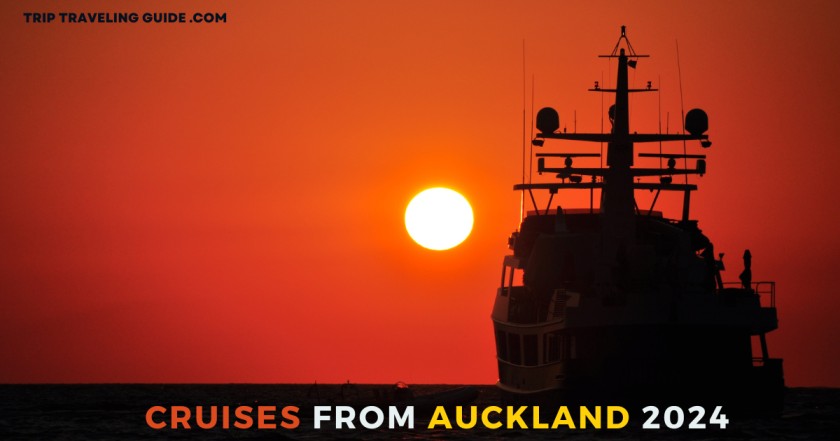 Cruises From Auckland 2024