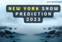 New York Snow Prediction 2023