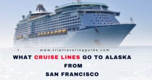 Read more about the article What Cruise Lines Go To Alaska From San Francisco