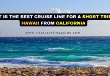 What is the best cruise line for a short trip to Hawaii from California
