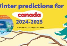 Winter predictions for canada 2024-2025