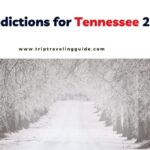 Snow predictions for tennessee 2024 2025